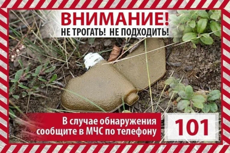 «Лепесток» и «Колокольчик».